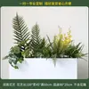 Caja de flores decoración flores y plantas arreglo floral producto terminado adorno de planta verde venta de restaurante oficina mampara canaleta de flores paisajismo biónico