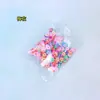 Fatia de argila macia animal fruta flor adesivo de unha fino preenchimento comida e acessórios de brincar diy simulação atacado