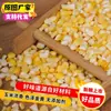 Copos de Maíz Amarillo Glutinoso, Sémola de Maíz Pegajosa, Granos Integrales, Sémola de Maíz Molida Fresca para Gachas, Disponible para Dropshipping, Venta al por Mayor y Minorista