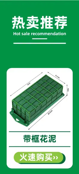 5.4Lucy热卖推荐-2.jpg
