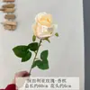 Flor Artificial de Rosa Única Capullo de Rosa Flor Falsa Arreglo Floral para el Hogar Decoración de Boda Regalo para el Día de San Valentín Accesorios para Fotografía Venta al por Mayor