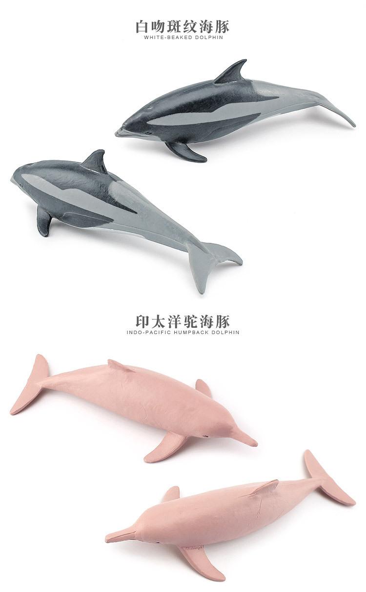 详情图片_081.jpg