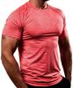 Músculo Nova Cor Sólida Roupas de Fitness Irmãos Masculinos Secagem Rápida Respirável Treinamento Alta Elasticidade Roupas Apertadas Roupas de Treinador Esportivo de Manga Curta