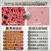 Esponja de Algas Colorida de Alta Espuma Esfoliante para Lavar Louça na Cozinha Bloco de Esponja Mágica Multi-Porosa em Favo de Mel Remoção de Manchas Lado Abrasivo Pano de Limpeza