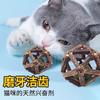 Brinquedos para Gatos Auto-hi Bola de Catnip Bola Exquisita Bola de Polygonum Knox Mordida Molar Resistente à Mordida Brinquedo para Gatos Suprimentos para Gatinhos