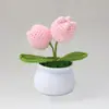 Flor Popular Tejida a Mano Transfronteriza Flor de Lana Tejida Flor Artificial Flor de Tulipan Flor de Lana Ganchillo Planta en Maceta Hecha a Mano Producto Terminado