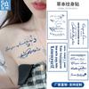 Pegatina de tatuaje de hierbas con diseño de planta de jugo, nombre en inglés, para hombres y mujeres, impermeable, de larga duración, simulación