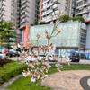 Orquídea danzante de simulación de comercio exterior, orquídea danzante Wenxin de 4 tenedores, Phalaenopsis amarilla, decoración suave para bodas y el hogar, flor falsa.