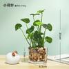 Escritório Cerâmica Flor Falsa Simulação Planta Verde Decoração Criativa Restaurante Mesa Floricultura Paisagismo Enfeites Decorações Vaso de Planta