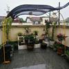 Arco Suporte de Flores Treliça para Plantas Trepadeiras Jardim Rosa Suporte de Flores Clematis Pothos Suporte de Plantas Exterior Portão de Flores Zhao Zhuoyou