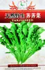 Sementes de Diversos Vegetais para Outono e Inverno, Sementes de Couve Chinesa, Mudas com Alta Taxa de Germinação, Novas Variedades de Colza Empresas Atacadistas