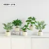 Plantas Verdes, Vasos Pequenos, Árvore da Fortuna Semelhante para Mesas de Escritório Internas, Mesas de Centro de Sala de Estar, Flores Artificiais e Arranjos Florais