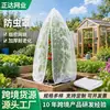 Tela anti-inseto transfronteiriça, anti-envelhecimento, resistente ao sol, malha protetora durável para frutas e vegetais de jardim, atacado de fábrica, tela anti-inseto multi-especificação