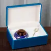Yuerui Latas de Té Esmaltadas Cajas de Regalo Almacenamiento de Materiales Medicinales de Alta Gama Sello Pequeño Altar Cerámico Botella de Té Grande Vacía