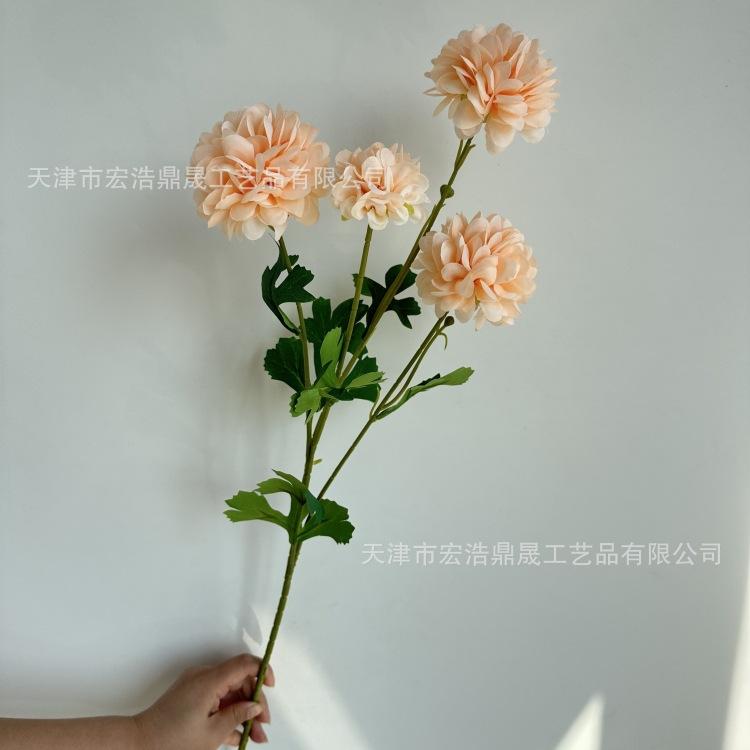 微信图片_20230913151857_副本