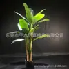 Combinación única de serie roja rosa azul plátano cola suelta caparazón de tortuga Kwai Canna escénico simulación