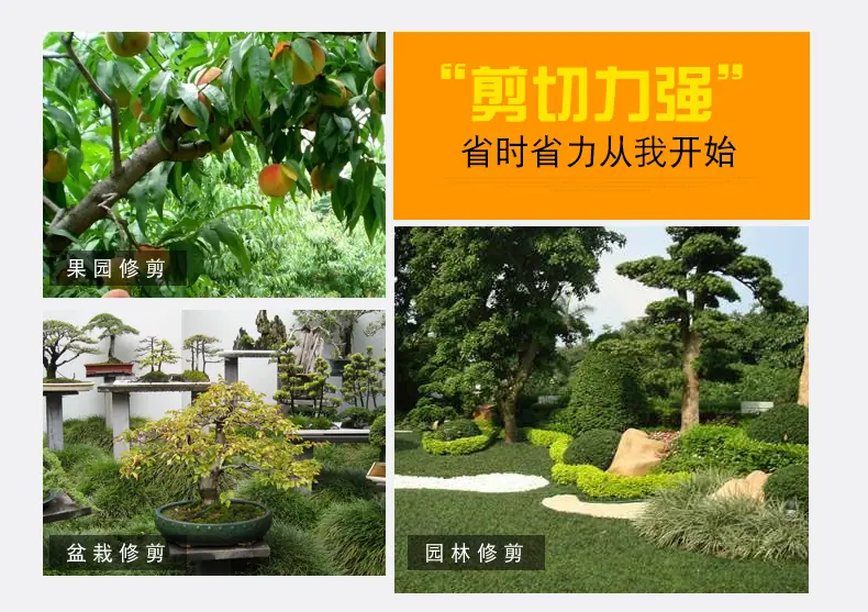 详情页_03 - 副本.jpg