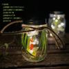 Luz Nocturna de Luciérnaga Material DIY Hecho a Mano para Niños/Botella Decoración de Jardín Exterior Regalo de Navidad Luz de Ambiente Creativa