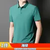 Camisa Polo de Verano para Hombre, Transpirable Versátil de Negocios, Delgada Ajustada a la Medida, Moda de Gama Alta Casual, Top con Cuello