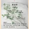Folhas de Milão Simuladas, Plantas Verdes Simuladas, Flores e Plantas Verdes de Decoração de Jardim Realistas de Alta Qualidade, Atacado Transfronteiriço em Estoque
