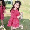 Traje para Niñas Verano 2025 Nuevo Estilo Moda Infantil Vestido de Verano para Niña Bebé Falda Casual a Cuadros Conjunto de Dos Piezas