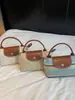 Bolso de Mano Pequeño Tejido Transfronterizo para Mujer Verano 2026 Nuevo Estilo Bolso de Hombro Único Cruzado Bolso Pequeño para Vacaciones en la Playa Bolso Tejido de Paja