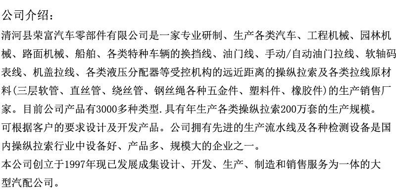 公司介绍