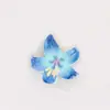 Clip de flor de Narciso Nuevo Elegante Transfronterizo Pinza para el pelo de Plumeria de Hada Pinza de Tiburón Pinza para el Cabello de la Parte Posterior de la Cabeza Accesorio para el Cabello
