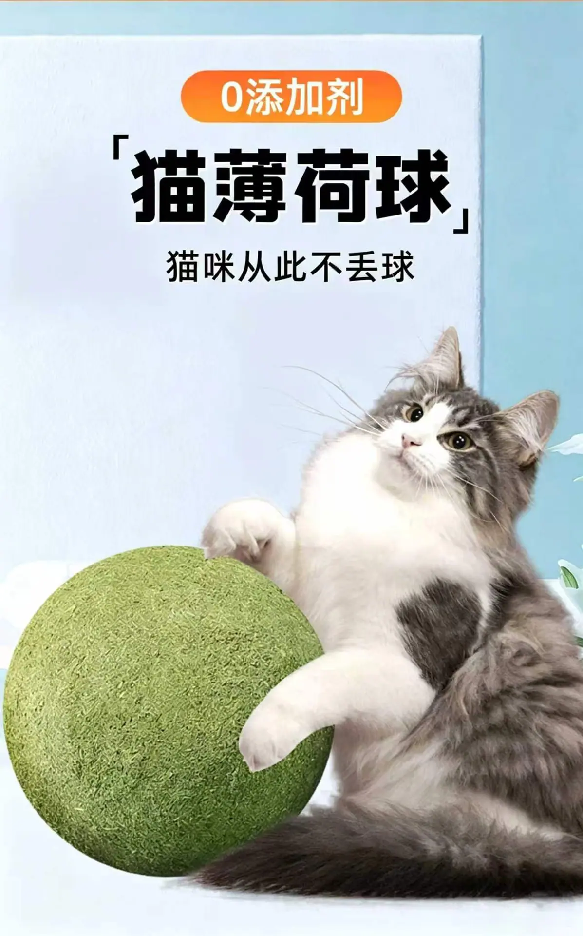 微信图片_20260603102855_1046_781