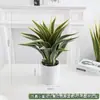 Simulação Planta Verde Bonsai Sisal Folha Grande Gladíolo Planta do Deserto Tropical Janela Paisagismo Decoração Planta Artificial Ponto