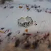 Anillo de concha y estrella de mar transfronterizo para mujer, anillo abierto ajustable, simple y único, anillo personalizado para dedo índice, venta al por mayor