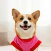 Capa Roupa de animal de estimação Transfronteiriça Super-herói Cachorro Moletom para animal de estimação Pelúcia Bordada Roupas para cachorro