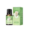 Óleo Essencial de Artemísia Rosa Coreana Salão de Beleza Raspagem Corporal Massagem Banho com Óleo Essencial Gengibre Produto para Cuidados com a Pele Fabricante