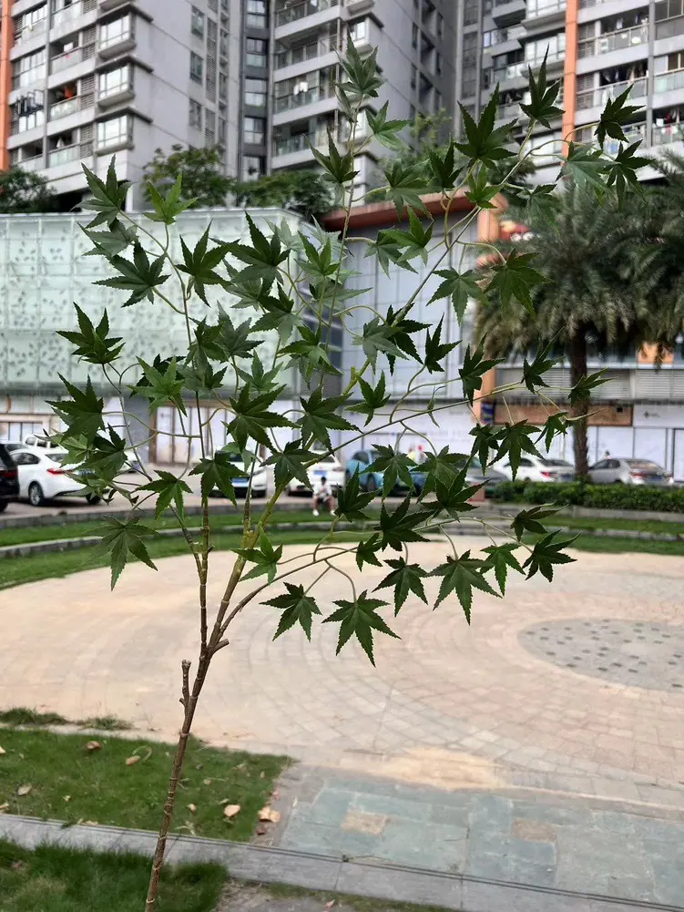 微信图片_20250404142909