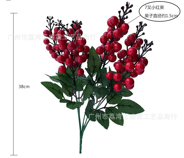 发财果-红果_03.jpg