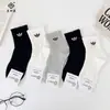 Calcetines para Mujer Jisiixiang Otoño e Invierno Nuevo Estilo Marca de Tendencia Letra Calcetines de Tubo Medio Algodón Peinado Blancos Calcetines para Estudiantes Calcetines Deportivos