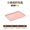 Bandeja Rectangular Estilo Ins Aspecto de Alta Calidad Simple Plástico Espesado Taza de Agua Taza Taza de Té Bandeja de Frutas Jardín de Infancia