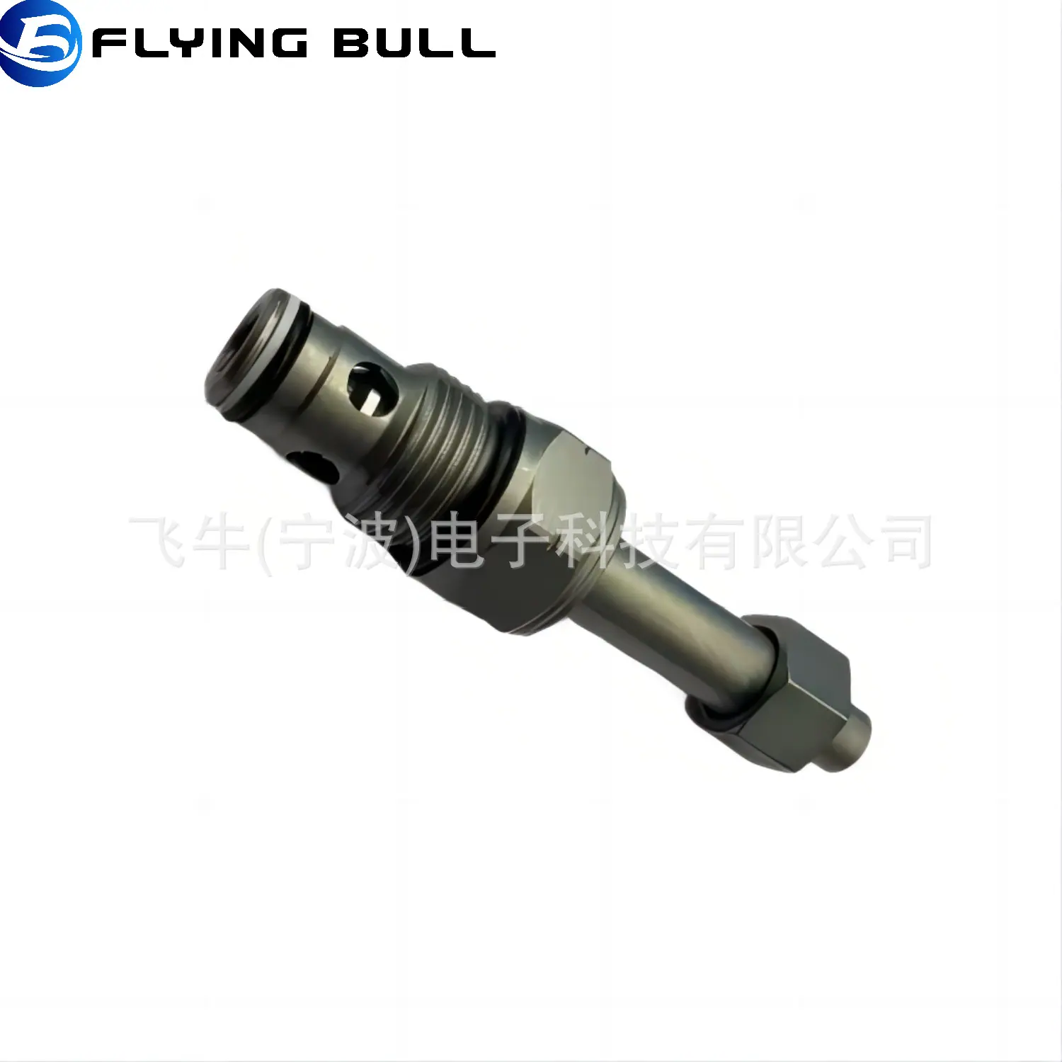 SV10-21P (6)
