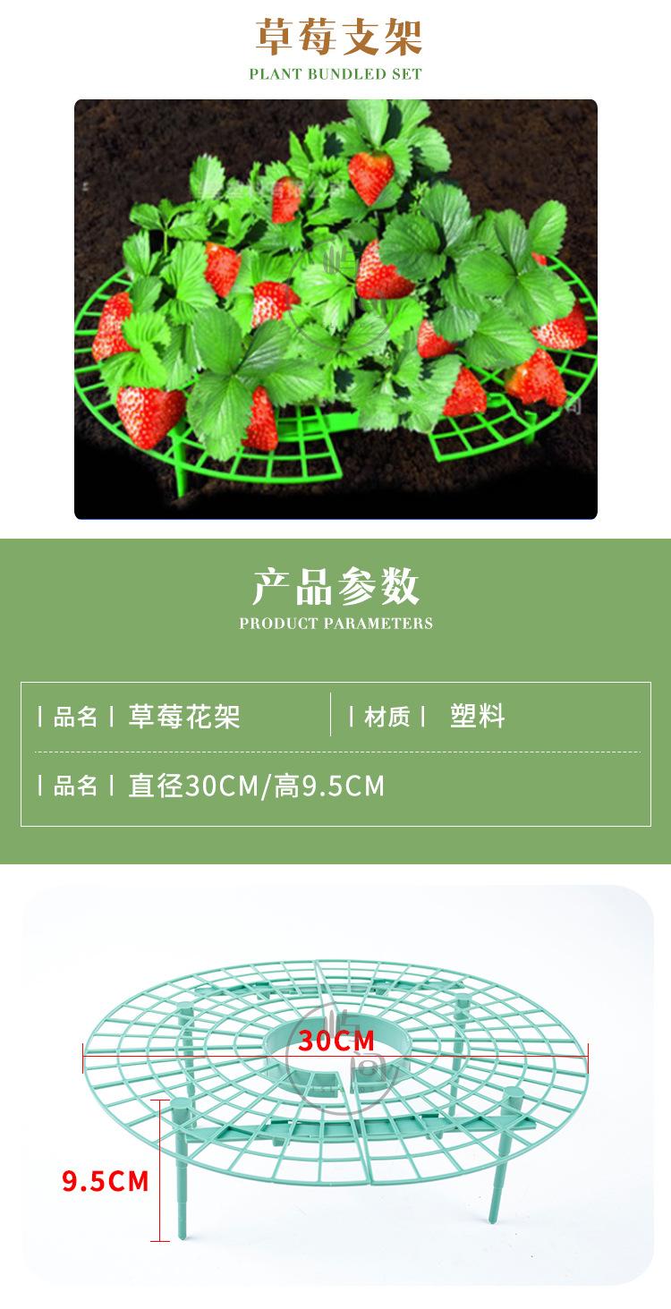 草莓架_02.jpg