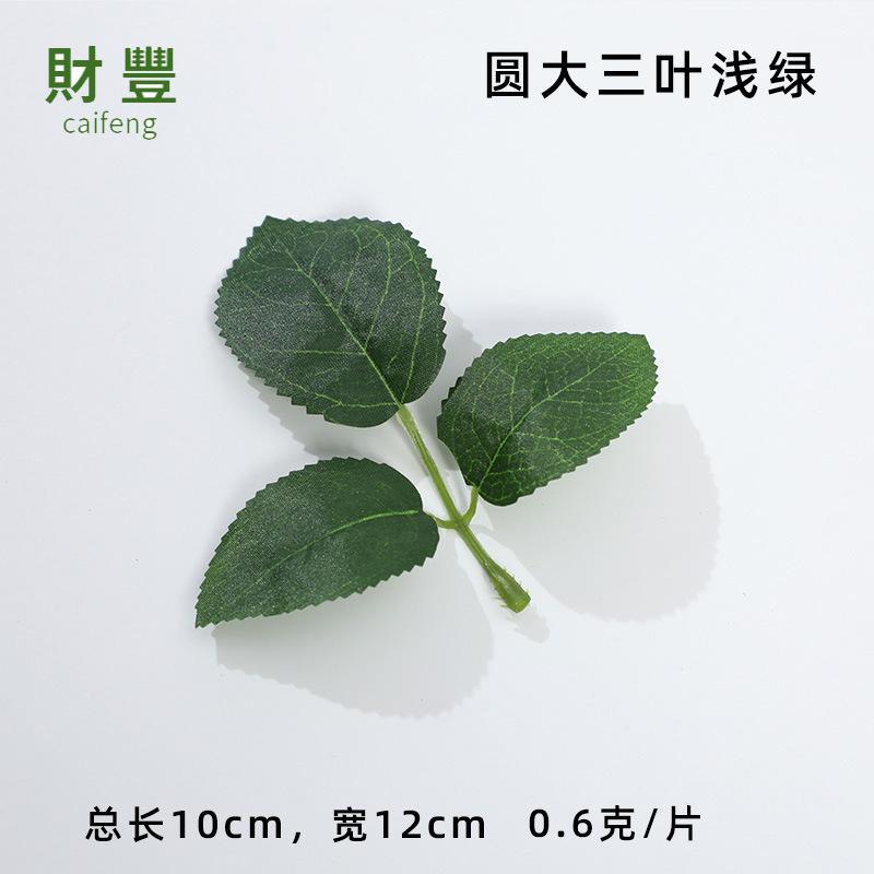 圆大三叶浅绿.jpg