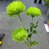 2026 Nuevo Modelo Plantas Verdes Artificiales Hierba de Espárrago Asparagus Asparaginea Decoración de Boda Flores Falsas Verdes Paisajismo Fotografía Plantas Verdes Estilo Bosque