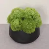 Flor de Clavel Verde Simulada Cabeza Redonda Bola de Pelo Verde Paisajismo de Micro Paisaje Interior Plantas Verdes Decoración de Sala de Estar en Casa Plantas Falsas