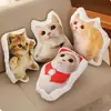Almohada de Gato Feo DIY Sin Bordes Blancos, Forma Irregular, Sin Contorno, Muñeco Almohada Personalizado de Gato y Perro a Partir de Tu Propia Foto