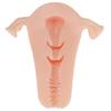 Molde Inverso Útero Nebuloso Vagina Masculina Copo Avião Masturbação Adulta Famosos Brinquedos Sexuais Brinquedos Sexuais Boneca de Silicone