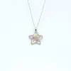 Collar Transfronterizo Nuevo Lujo de Flores Reales, Estilo Cinco Estrellas, Espécimen de Flor Preservada en Resina, Cadena para Suéter, Cadena para Clavícula Regalo