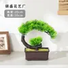 Planta de Pinheiro Artificial Acolhedor em Vaso Planta Verde de Interior Bonsai Decoração de Flores Artificiais para Desktop Decoração de Casa Ornamento Árvore de Pinheiro