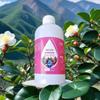 Solución Nutritiva Especial para Camelia, Camelia, Hoja Amarilla, Punta Quemada, Camelia Seca, Fertilizante Especial para Hoja Amarilla, Tipo Sin Diluir
