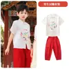 Uniformes de Clase para Estudiantes de Primaria, Uniformes de Desempeño Coral para el Día del Niño Estilo Chino Dinastía Han, Faldas de Cara de Caballo, Uniformes de Desempeño de Recitación para Jardín de Infancia