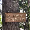 Letreros de Madera para Horarios de Clase, "No Molestar Durante la Clase", Letreros Decorativos para Entradas de Salón de Clases, Letreros de Puerta, Grabados