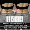 Tatuagens adesivas de cores que mudam com a temperatura, com design de asas sexy para garotas, para peito, costas, cintura, coxa e abdômen
